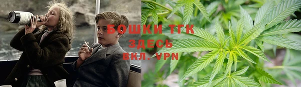 меф Арсеньев