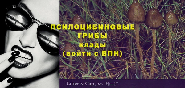 меф Арсеньев