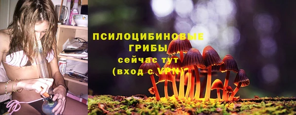 spice Аркадак