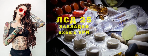 spice Аркадак