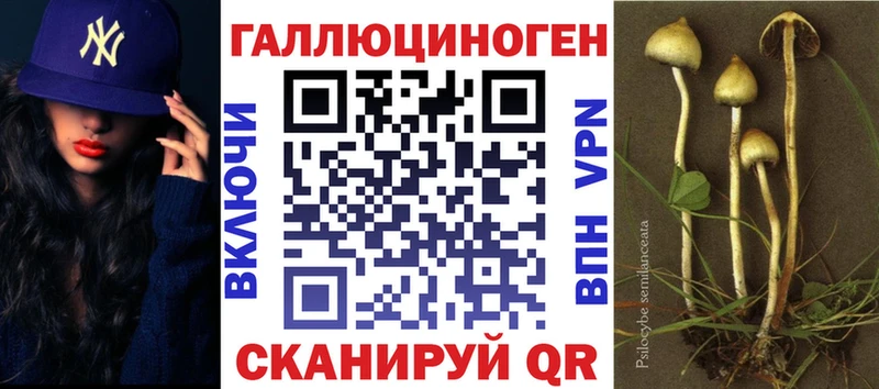 Галлюциногенные грибы MAGIC MUSHROOMS  продажа наркотиков  блэк спрут онион  Спасск 